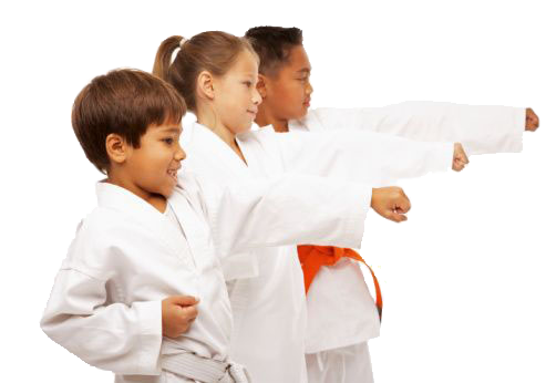 mission viejo karate kids